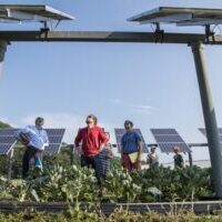 solar panels